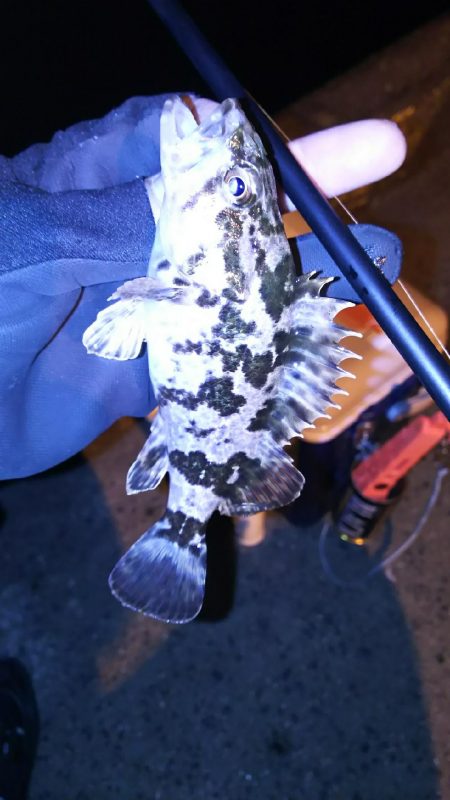 休みになったら北西爆風(*_*)