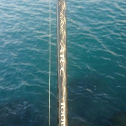 釣り部 釣行記 11