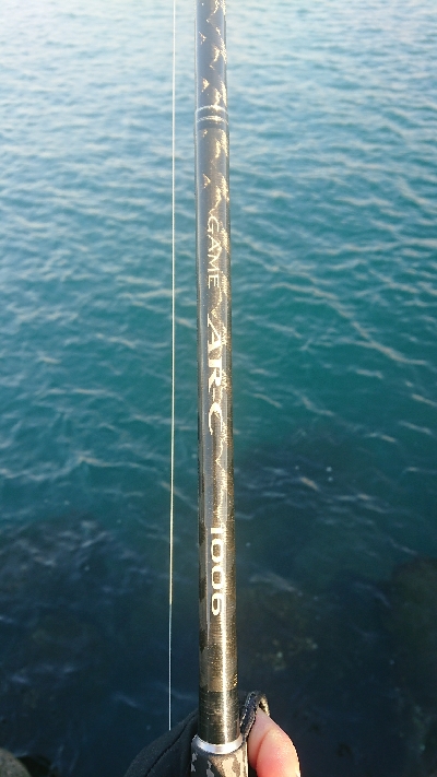 釣り部 釣行記 11