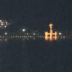 今年の運だめし