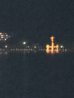 今年の運だめし