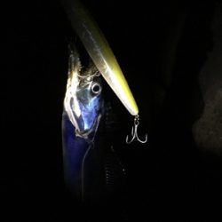 元旦！釣り始め