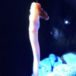 初めて山口県で釣り