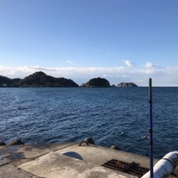 ヒイラギばっかり