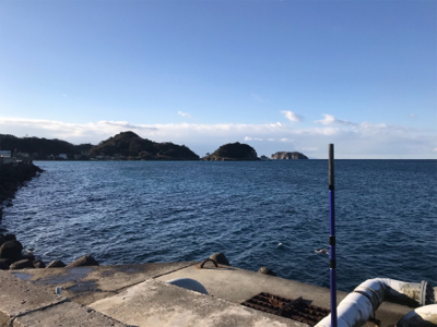 ヒイラギばっかり