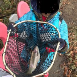 管理釣り場釣行