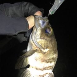 ウェーディングでメバリング