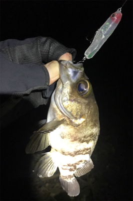 ウェーディングでメバリング