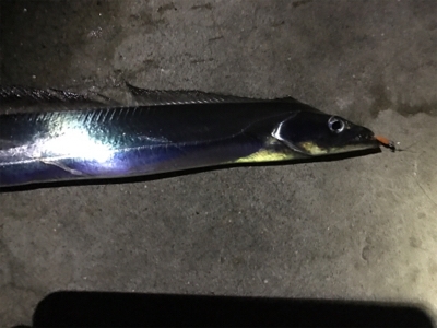 まさかのタチさん!!