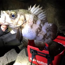 月が隠れたら、、