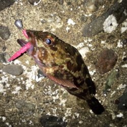 デイメバリング