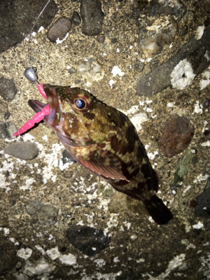 デイメバリング