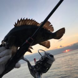 釣り初めアジング！