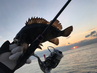 釣り初めアジング！