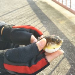 ちょい投げ練習