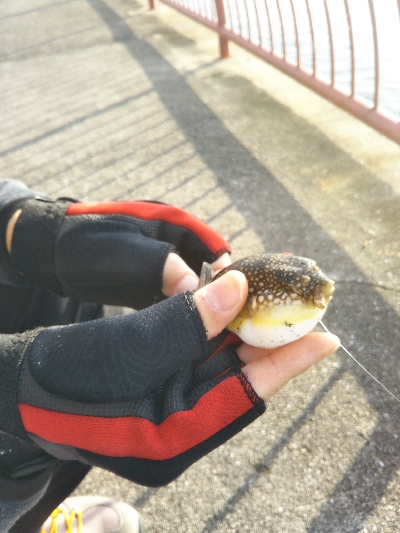 ちょい投げ練習