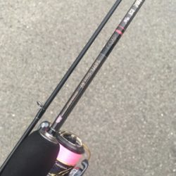 釣れただけマシかな。