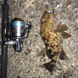 ナイトゲーム☆メバリング釣行♪