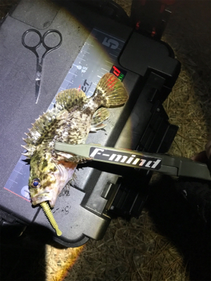 １６時から開始