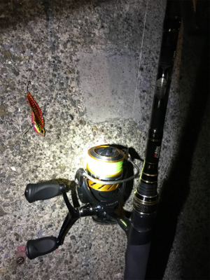 バイブレーションでチヌ