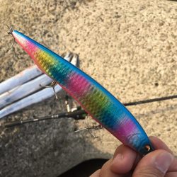 初釣りはタチウオ×3