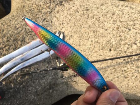 初釣りはタチウオ×3