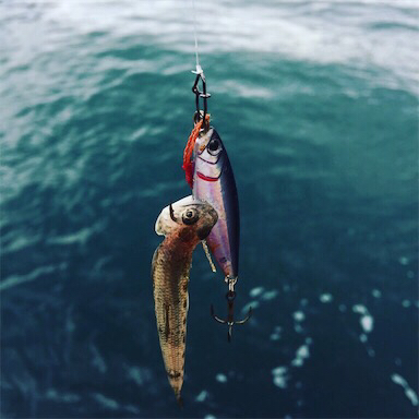 ２０１８年初ヤリイカ求めランガンエギング