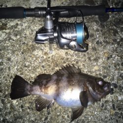 ナイトメバリングゲーム♪