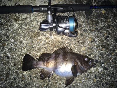 ナイトメバリングゲーム♪