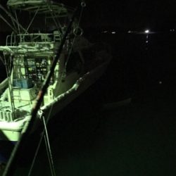 雪の中なんとか