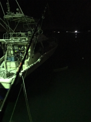 雪の中なんとか