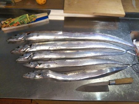 激風激波のち大物