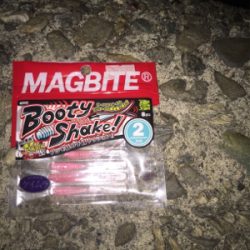 久しぶりのご近所メバリング