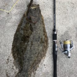 ガシラ狙ってたらヒラメが！