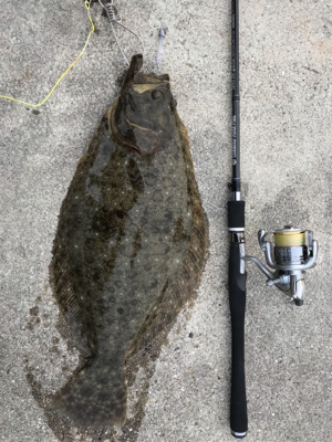 ガシラ狙ってたらヒラメが！