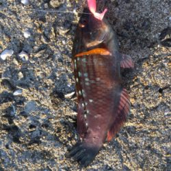 長崎市南部方面