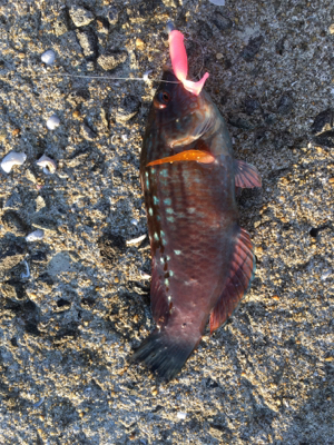 長崎市南部方面