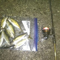 阿南市の椿泊でアジング