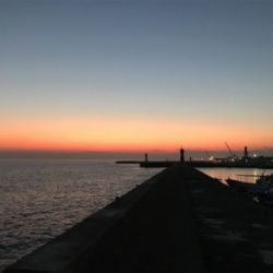 ガシラ  リタックル