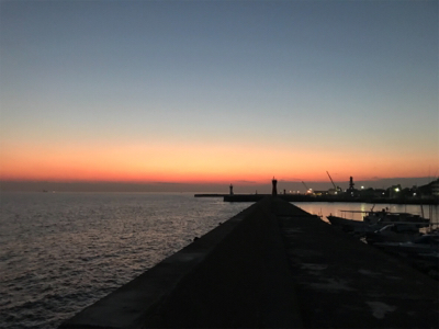 ガシラ  リタックル