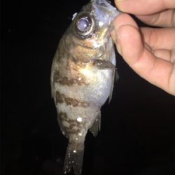 夜中に奈良から淡路へ