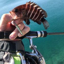 ハタング！(釣行 其の六)