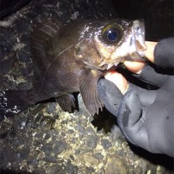 明け方の様子をチェック