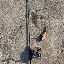 釣り日和だか…