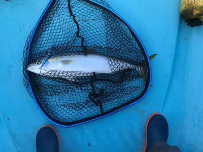 スロージギング