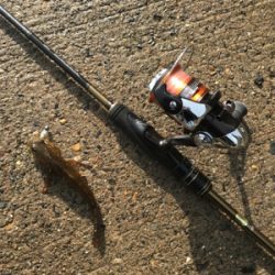 2018初フィッシュ