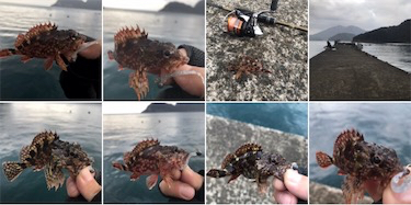 子ガッシー祭り