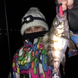 ナイトゲーム☆グループ戦♪