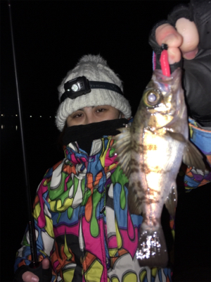 ナイトゲーム☆グループ戦♪