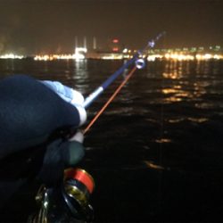 メバリングでカレイ